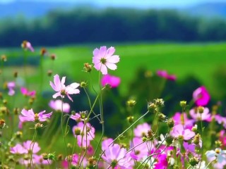 Мой первый секс втроем с текстами песен