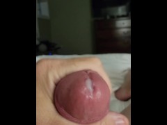 I pounded my huge cock and pleasured my shaft until I squirted cum