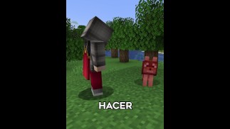 COSAS ILEGALES EN MINECRAFT