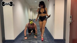 Взята на прогулку Kitty Kewpie. Ткань!