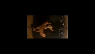 Hardcore doggy style fucking from above