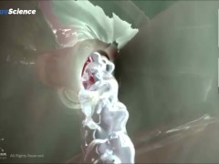 Анатомия 3D Женская анатомия - Что находится внутри ?Женская предстательная железа от издания Dandel - Screenshot 11 of 16 - Anatomy Lesson
