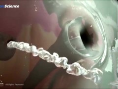 Анатомия 3D Женская анатомия - Что находится внутри ?Женская предстательная железа от издания Dandel - Screenshot 13 of 16 - Education