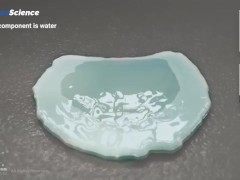 Анатомия 3D Женская анатомия - Что находится внутри ?Женская предстательная железа от издания Dandel - Screenshot 14 of 16 - Anatomy Lesson