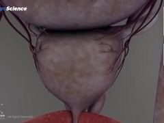 Анатомия 3D Женская анатомия - Что находится внутри ?Женская предстательная железа от издания Dandel - Screenshot 16 of 16 - Education