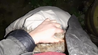 Сначала мы танцевали под дождем, а потом трахались под дождем - Lesbian_illusion