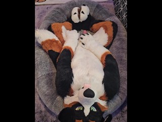 Good Boy @AngryBarks Jerks off and Edges with you 💦