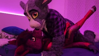 murrsuit bunny breeds a cute tiny furry wolf (Murrsuit Video)