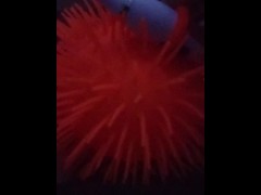 Buggy - Screenshot 8 of 16 - Brush