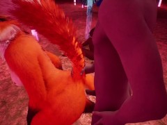 Furry Fantasies in the Mushroom Forest