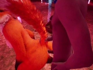 蘑菇森林里毛茸茸的幻想