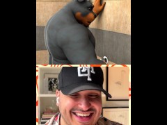 Beefy Pup in Cold Shower - Screenshot 1 of 16 - Web Cam