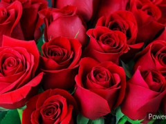 Bangla choti golpo hot Bangladeshi chachi cheating fuck by neighbour  hot story