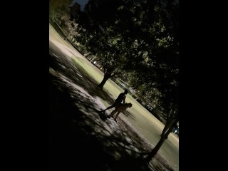 Public Park Fun