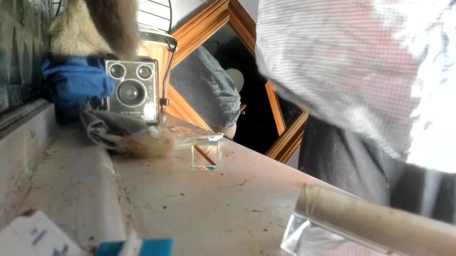 boring broadcast webcam single