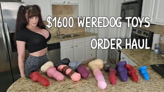 Massive $1600 WereDog Toys Haul!!! Part 1 of 2