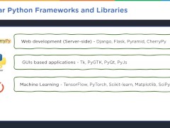 Introduction to python PART 1 - Screenshot 6 of 16 - Anal Creampie