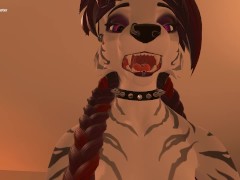 Red Paw Diaries episode 1