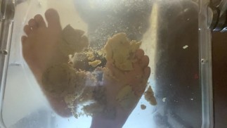 goddess stomping on cookies barefoot