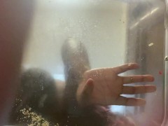 goddess stomping on cookies barefoot