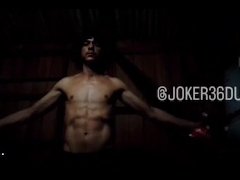 FORROZé, o 🐓 falou que o 🕊️ trouxe o 🥚 que ele escondeu debaixo da 🐔 e deu o bebê pra María 