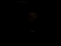 Mostly anal. Multiple orgasms. Terrible quality. Very dark. You will hate this. - Screenshot 16 of 16 - Asmr