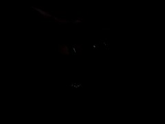 Mostly anal. Multiple orgasms. Terrible quality. Very dark. You will hate this. - Screenshot 2 of 16 - Anal