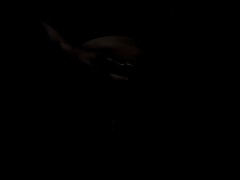 Mostly anal. Multiple orgasms. Terrible quality. Very dark. You will hate this. - Screenshot 9 of 16 - Real Orgasm