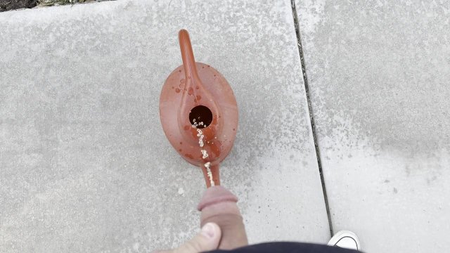 Adding Liquid Fertilizer to the Water Can