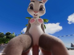 Judy Hopps ride you: immersive POV