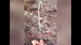 Мне пришлось пописать дважды на одной и той же прогулке в парке