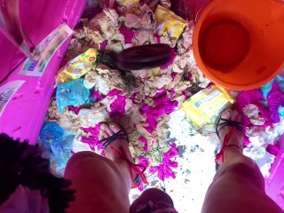 Pig Slays its 4kg Ball Weights Training on in its Outdoor Garden Toilet Angel Scarlett Black.