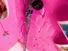 pig cleaning teeth in bucket waiting for its chain timer to unlock as it lives 24/7 outdoors angel