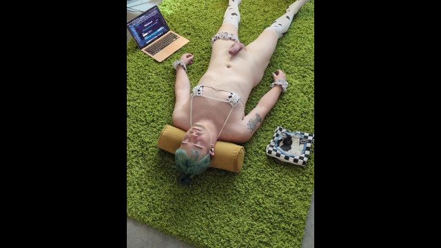 Cowgurl HFO to ShibbySays' Udderly Entranced