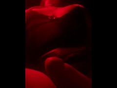 Kitty is back! A quick hello from Thompson’s island