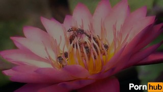 test_auto_feb3
