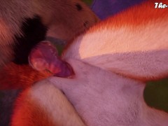 Wild Life 4K - Knotty Fox