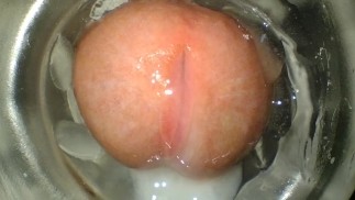 ASMR Nahaufnahme Flesleichter Fick und lautes Stöhnen Precum und Cumshot