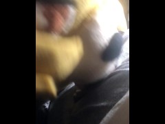 Sweet bear babe blowjob