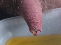 Pissing in plastic pot