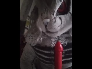 Roadkill! Visits you for Valentines Day