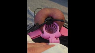 Estim 与倒置的贞笼