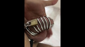 Penis Chastity Cage #001 My Toys