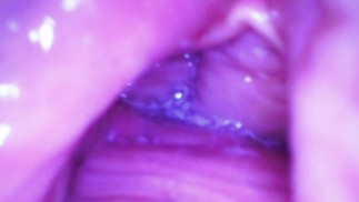 Киска очень близко.