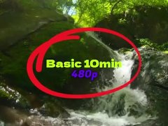 Basic 10min 480pp