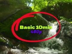 Basic 10min 480pp - Screenshot 14 of 16 - 480p