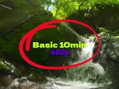 Basic 10min 480pp - Screenshot 15 of 16 - Basic