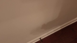 Who doesn't love shadow play?