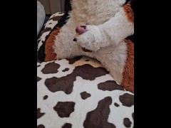 play with @AngryBarks Dogs must be !