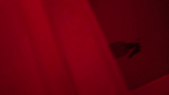 demoness Ashley Valentine jerks off her big shecock part 2